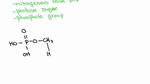 draw-the-general-structure-of-a-nucleotide-which-parts-are-identical-in-all-nucleotides-and-which-ca