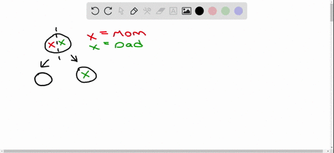 the-result-of-mitosis-is-that-the-daughter-cells-end-up-with-the-same-number-of-chromosomes-that-t-2