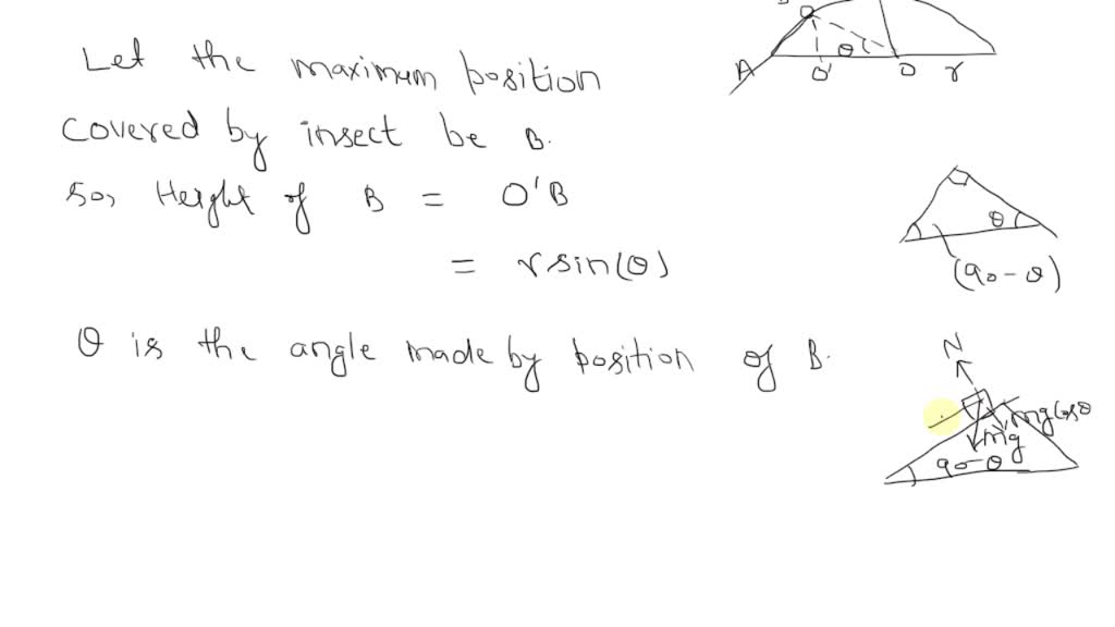 SOLVED:If coefficient of friction between an insect and bowl is μand ...