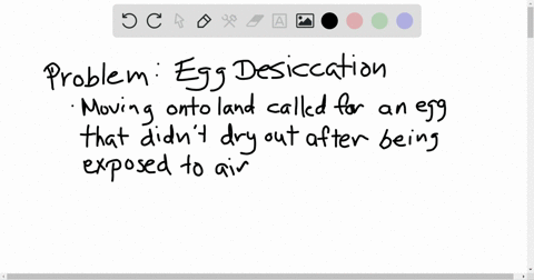 why-is-the-amniotic-egg-considered-a-key-evolutionary-innovation-a-it-prohibits-external-fertilizati
