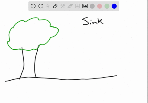 match-the-concepts-of-plant-nutrition-and-transport-_______stomata-_______-plant-_______nutrient-___