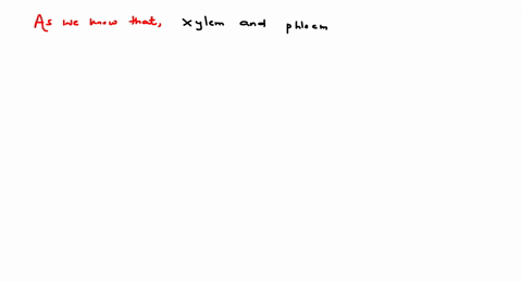 which-of-the-following-helps-in-the-transportation-of-minerals-a-xylem-b-phloem-c-both-a-and-b-d-non