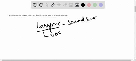 assertion-larynx-is-called-sound-box-reason-larynx-helps-in-production-of-sound