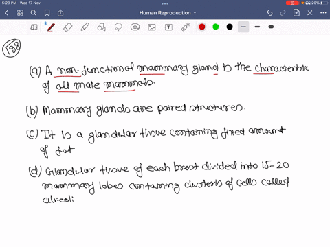 which-fact-about-the-mammary-glands-in-humans-is-false-a-a-non-functional-mammary-gland-is-the-chara