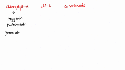 chlorophyll-a-chlorophyll-b-and-carotenoids-are-found-in-a-green-algae-red-algae-and-land-plants-b-g