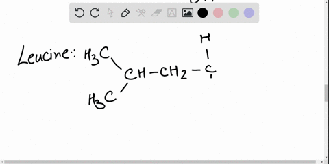 draw-the-zwitterion-structure-for-the-amino-acid-leucine