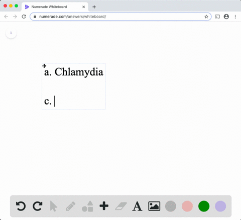 which-of-the-following-prokaryotes-is-not-pathogenic-a-chlamydia-b-rhizobium-c-streptococcus-d-sal-2