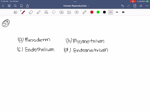which-layer-of-uterus-undergoes-cyclic-changes-during-menstrual-cycle-a-mesoderm-b-myometrium-c-endo