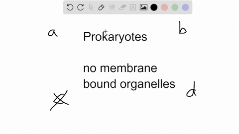 bacteria-are-prokaryotes-meaning-that-_____-a-they-have-ribosomes-b-their-internal-organization-is-s