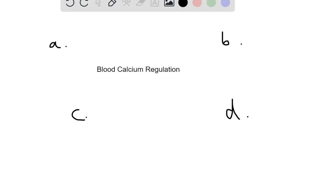 solved-when-blood-calcium-levels-are-low-pth-stimulates-a-urinary-excretion-of-calcium-by