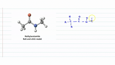 methylacetamide-mathrmch_3-mathrmconhch_3-is-a-small-molecule-with-an-amide-link-co-nh-the-group-t-3