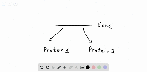 gene-a-is-thought-to-be-associated-with-color-blindness-the-protein-corresponding-to-gene-a-is-isola