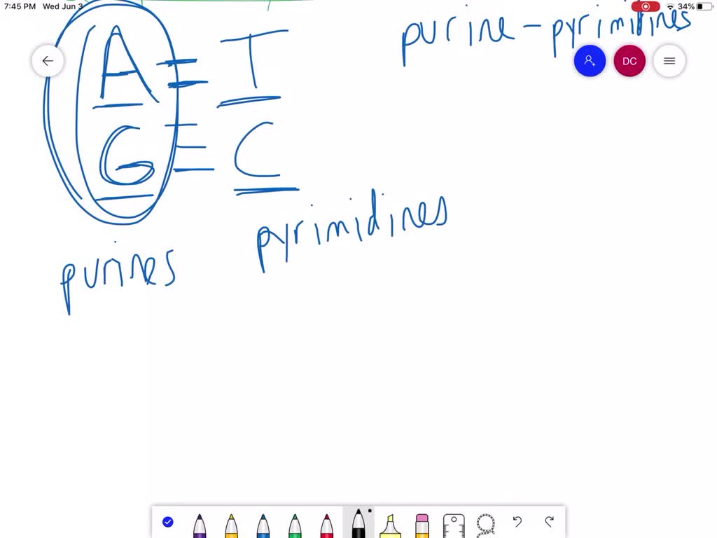 solved-which-statement-about-complementary-base-p