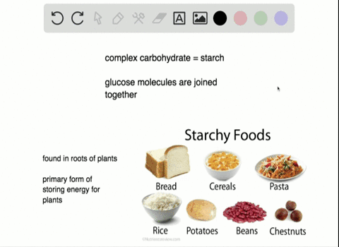 which-of-the-following-statements-about-starch-is-incorrect-a-starch-is-the-primary-form-of-energy-s