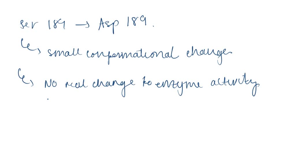 ⏩SOLVED:In chymotrypsin, a mutant was constructed with Ser 189,… | Numerade