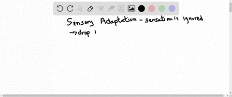 describe-an-example-of-sensory-adaptation-other-than-the-ones-listed-in-this-chapter