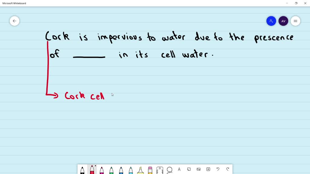 SOLVEDCork is impervious to water due to the presence of in its cell
