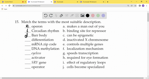15-match-the-terms-with-the-most-suitable-description-operon-a-makes-a-man-out-of-you-circadian-rhyt