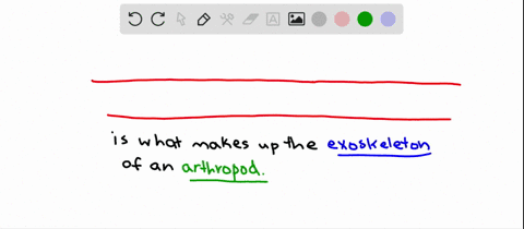 the-arthropod-exoskeleton-is-composed-of-a-a-mixture-of-several-kinds-of-polysaccharides-b-mixture-o