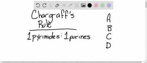 chargaff-studied-the-composition-of-dna-from-different-sources-and-found-that-a-the-number-of-phosph