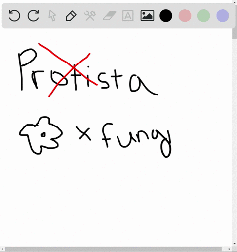 give-three-examples-of-protists-for-which-the-classifications-have-recently-changed-in-each-case-wha