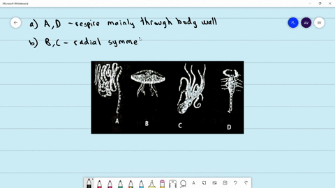 the-figures-a-d-show-four-animals-select-the-correct-option-with-respect-to-a-common-characteristic-