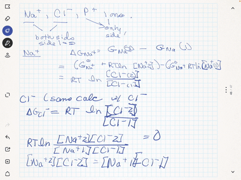 if-a-sulution-of-an-ivnic-macrumulecule-is-equilibrated-with-a-salt-solution-from-which-it-is-separa