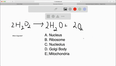 questions-90-93-students-do-an-experiment-to-explore-the-effects-of-mathrmph-on-enzyme-activity-th-4