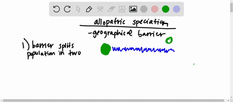 briefly-outline-the-process-of-allopatric-speciation-2