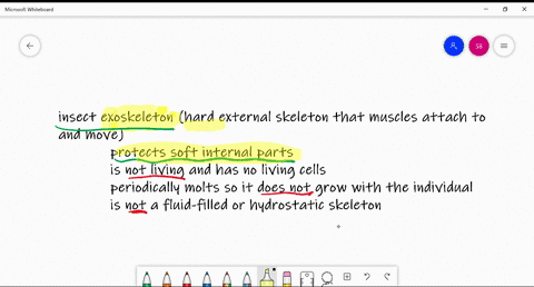 the-insect-exoskeleton-______-a-consists-of-living-cells-b-protects-soft-internal-parts-c-grows-with