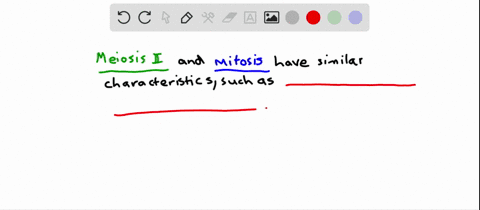 how-are-meiosis-ii-and-mitosis-similar-a-dna-replicates-before-nuclear-division-occurs-b-sister-chro