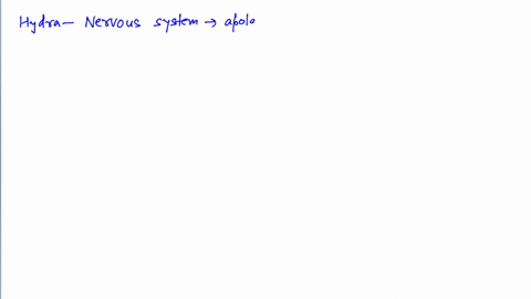 nervous-system-of-hydra-is-composed-of-a-ganglia-chain-b-vertical-ganglion-chain-interconnected-by-c