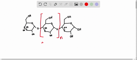 what-is-a-polysaccharide-what-monomer-unit-makes-up-the-common-polysaccharides-starch-and-cellulose
