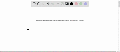 what-types-of-information-are-used-to-hypothesize-how-species-are-related-to-one-another-by-descen-2