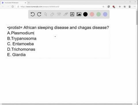 which-genus-of-protists-causes-african-sleeping-sickness-and-chagas-disease-a-plasmodium-b-trypanoso