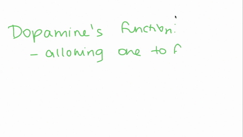 what-is-the-function-of-dopamine-in-the-body