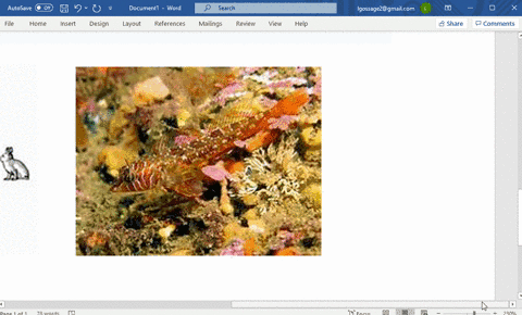 countercurrent-flow-of-water-and-blood-increases-the-efficiency-of-gas-exchange-in-________-a-fishes