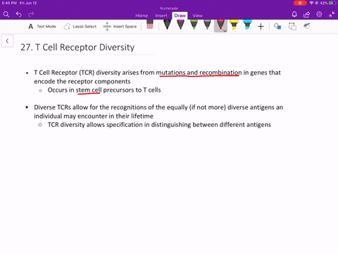 in-mammalian-adaptive-immune-systems-t-cell-receptors-are-extraordinarily-diverse-what-function-of-t