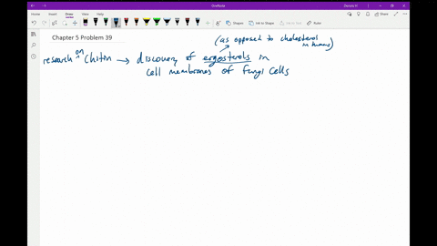 explain-the-benefit-of-research-into-the-pathways-involved-in-the-synthesis-of-chitin-in-fungi
