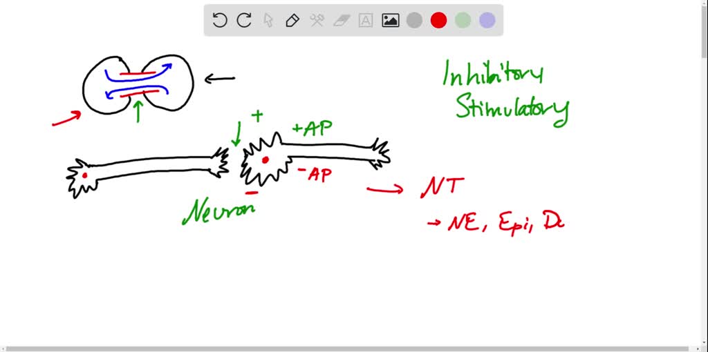 SOLVEDThrough the exchange of small metabolites and ions, gap