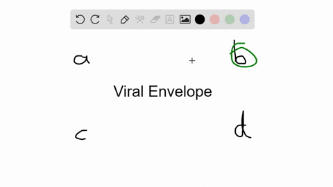the-envelope-of-a-virus-is-derived-from-the-hosts-a-nucleic-acids-b-membrane-structures-c-cytoplas-2
