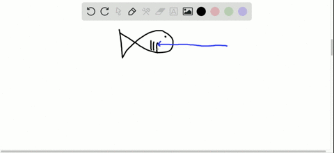 counter-current-flow-of-water-and-blood-increases-the-efficiency-of-gas-exchange-in-____________-a-f