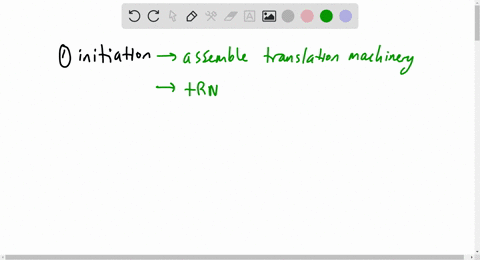 what-are-the-stages-of-protein-synthesis-3