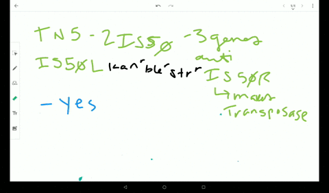 the-composite-transposon-th-5-consists-of-two-is50-elements-one-on-either-side-of-a-group-of-three-g