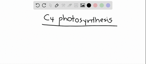 in-c_4-photosynthesis-a-3-mathrmpg-is-the-first-product-of-mathrmco_2-fixation-b-rubisco-catalyzes-t