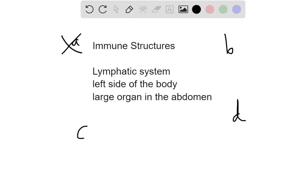 SOLVED: An encapsulated mass of lymph tissue connected to lymph vessels ...