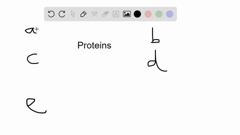 which-of-the-following-statements-about-proteins-is-correct-a-proteins-are-transported-to-the-roug-2