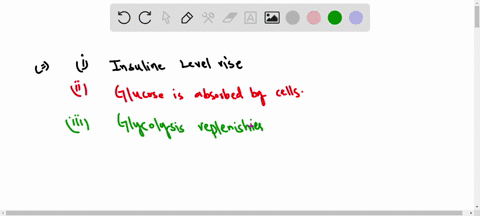 when-blood-glucose-levels-rise-following-a-meal-the-following-events-occur-arrange-these-events-in-t