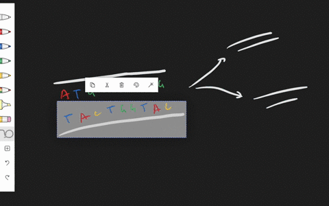 when-dna-replication-begins-_______-a-the-two-dna-strands-unwind-from-each-other-b-the-two-dna-str-2