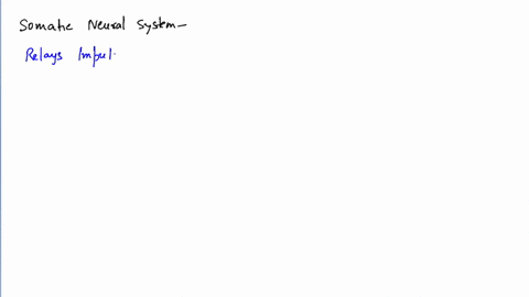 somatic-neural-system-transmits-impulse-to-a-skeletal-muscles-b-involuntary-organs-c-smooth-muscles-